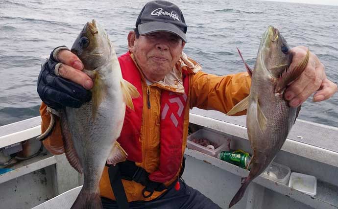 【沖釣り釣果速報】伊良湖沖のイシダイ釣りで4.6kgの良型浮上！（愛知・静岡）