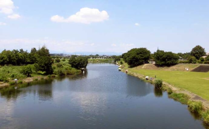 今週のヘラブナ推薦釣り場2025【埼玉県・ビン沼】