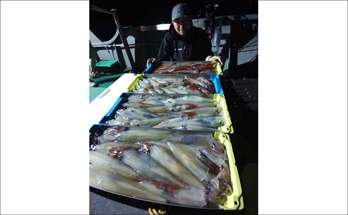 【沖釣り釣果速報】夜焚きイカ最盛期突入！　胴突きでヤリイカ100尾超え多数（福岡）