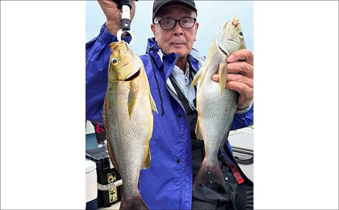 【沖釣り釣果速報】夜焚きイカ最盛期突入！　胴突きでヤリイカ100尾超え多数（福岡）