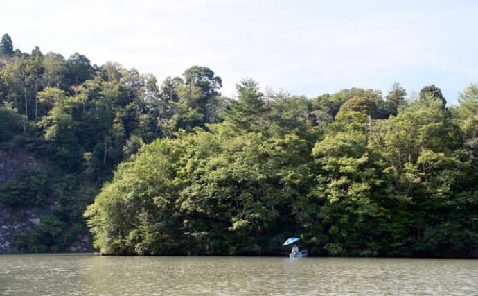 今週のヘラブナ推薦釣り場2025【千葉県・片倉ダム】