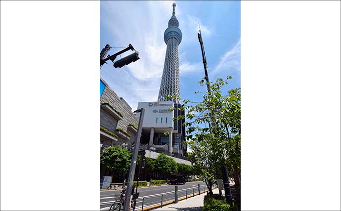 「スカイツリーの足元でハゼ釣り！？」北十間川でマハゼ20尾をキャッチ【東京】