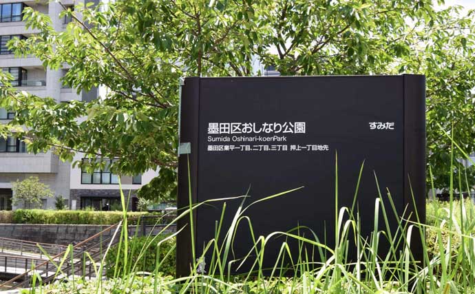 「スカイツリーの足元でハゼ釣り！？」北十間川でマハゼ20尾をキャッチ【東京】