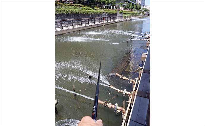「スカイツリーの足元でハゼ釣り！？」北十間川でマハゼ20尾をキャッチ【東京】