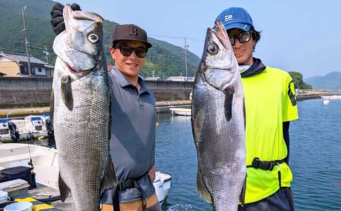 【沖のルアー釣果速報】ボートキャスティングゲームでヒラスズキ76cmキャッチ！（三重・愛知）