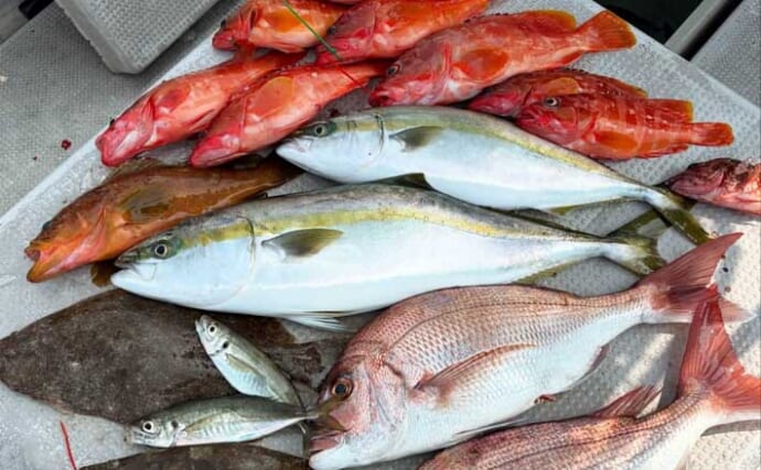 【沖釣り釣果速報】ヒラメ・ワラサ・マダイも！志摩沖のタテ釣りで五目達成（三重）