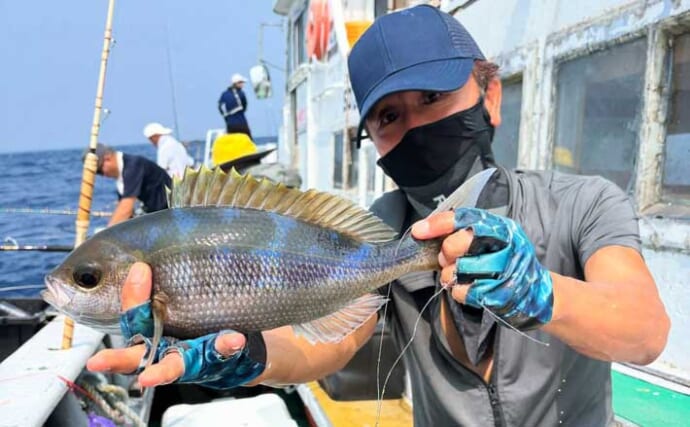 【沖釣り釣果速報】金洲の五目便でウメイロ入れ食い＆ヒメダイ・アオダイも連発！（愛知・静岡）