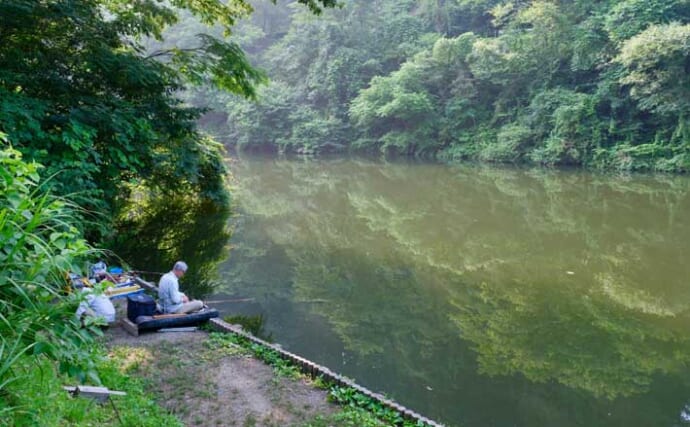 今週のヘラブナ推薦釣り場2025【新潟県・下条川ダム】