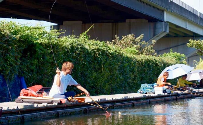 吉田康雄のザ・チャレンジへらぶな【数十年ぶりの両トロコン：第3回】