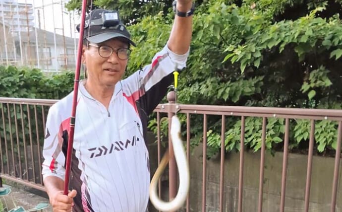 平作川支流のウナギ釣りで蒲焼サイズを含む3尾を手中【神奈川】特大ドバミミズ＆アオイソメにヒット