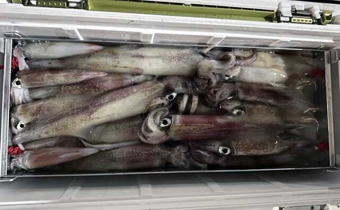 【沖釣り釣果速報】イカメタルで船中トップ131尾！玄界灘の夜焚きイカ釣りが絶好調（福岡）