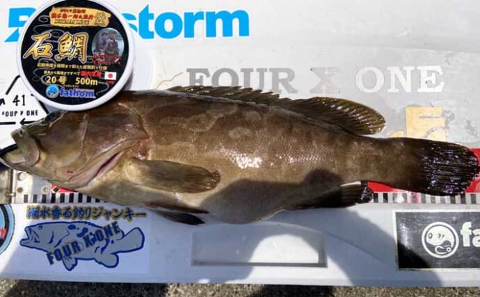 大物釣りで有名な離島でクエをキャッチ！【山口・見島】食い込まないアタリに苦戦