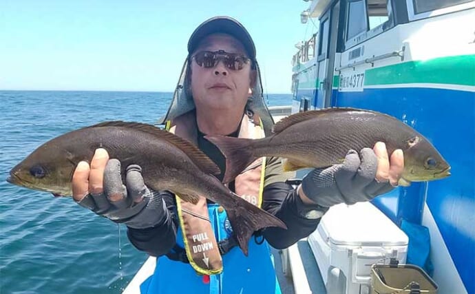 コマセ釣りで40cm級ジャンボイサキが好調！【愛知・かごや丸】好ゲストに大型アジ