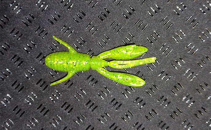 養老川のルアーマゴチ釣りで本命3匹【千葉】ワームとバイブレーションにヒット