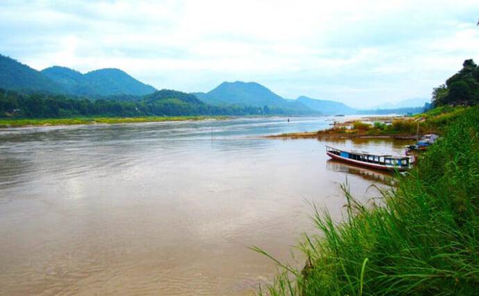 インドシナ半島を貫く魅惑の怪魚天国『メコン川』　水生生物でたどる大河紀行