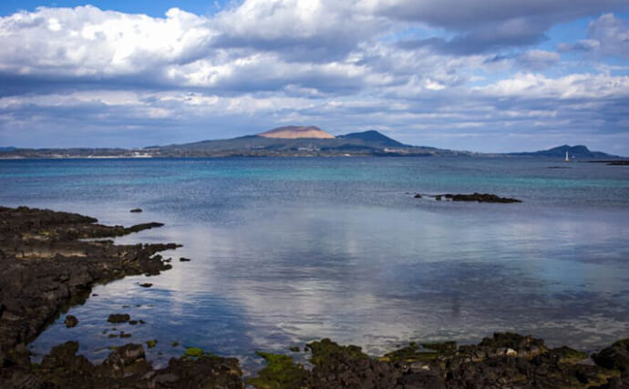 磯焼け＆未利用魚の問題【五島列島の取り組み】　海の平和を取り戻すための施策とは？