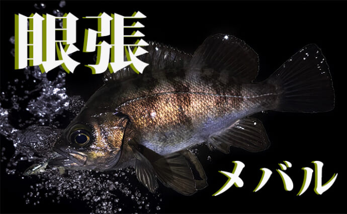 釣り人ならば対象魚の漢字くらい書けるはず？　身近な魚でも意外と難しいのが実状