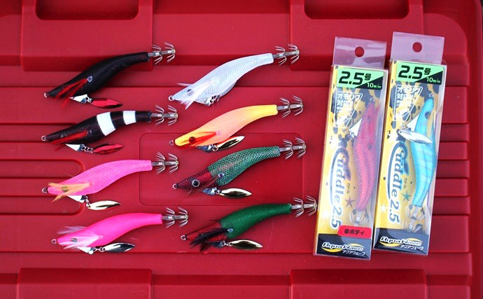 「ブレードがイカに効く！」アクアウェーブ『カドル』でケンサキイカを攻略しよう