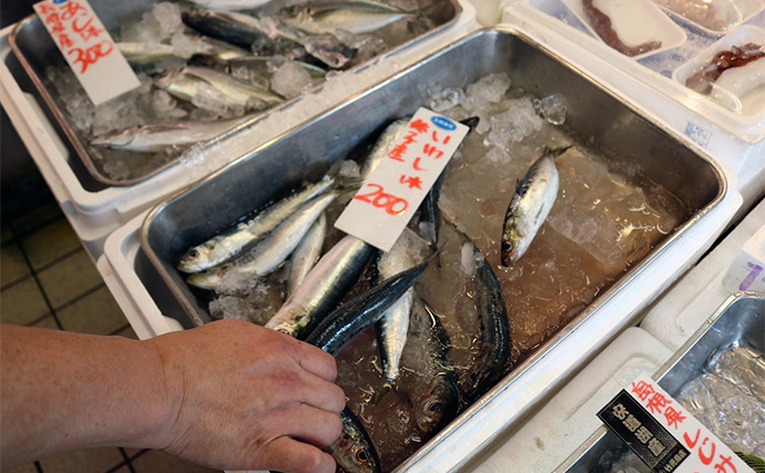 「夏の刺身は温度管理が超重要！」人気店『釣りあじ食堂』を支える冷温プレートの実力とは？