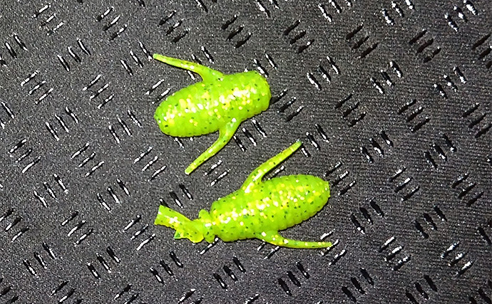 養老川のルアーマゴチ釣りで本命3匹【千葉】ワームとバイブレーションにヒット