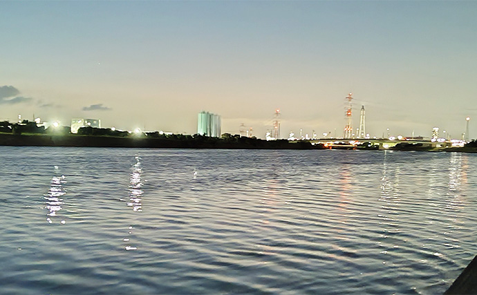 養老川のルアーマゴチ釣りで本命3匹【千葉】ワームとバイブレーションにヒット