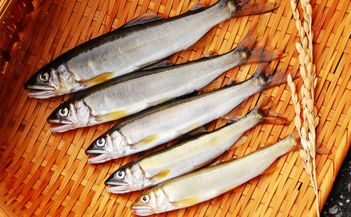 「アユ釣り＝友釣りだけじゃない！」手軽に楽しむエサ釣りの魅力　装備や関東近郊の釣り場も紹介