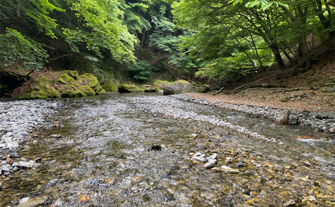 「魚より釣り人の方が多い？」関東の渓流釣りの実情は【難易度高いが攻略し甲斐あり】