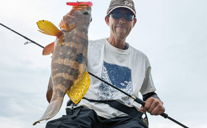 堤防ルアー釣りでアコウ・ガシラ・アオハタとロックフィッシュが連発！【京都】