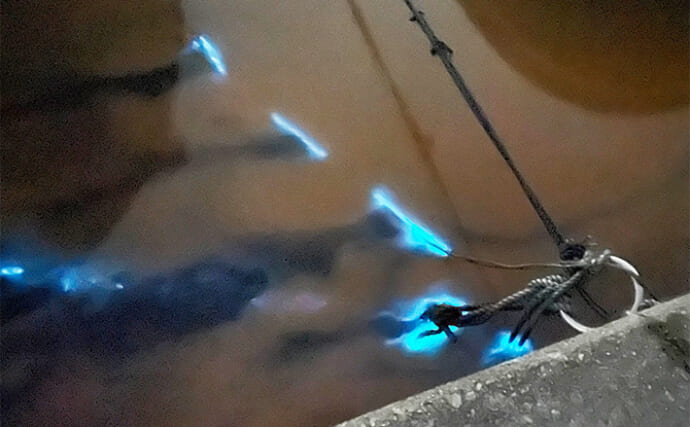 「見た目は綺麗だけど・・」夜行虫は釣り人の敵か味方か　酸欠の海中で魚は低活性