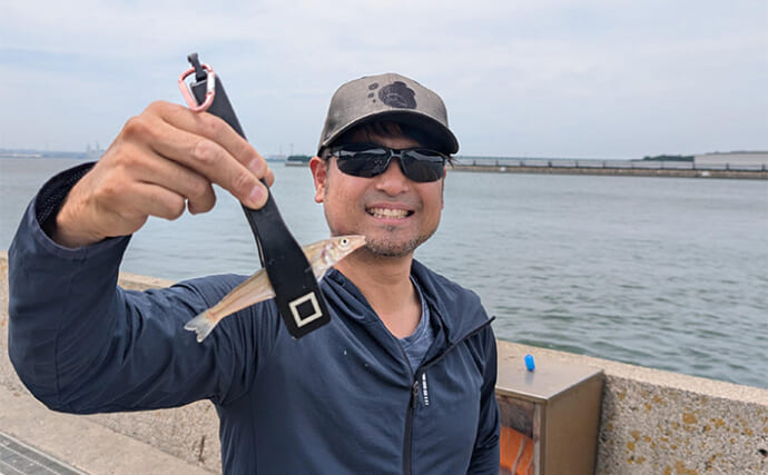 「3ケタ釣果達成！」碧南海釣り広場のサビキ釣りでキス・イワシ・サバが連発【愛知】