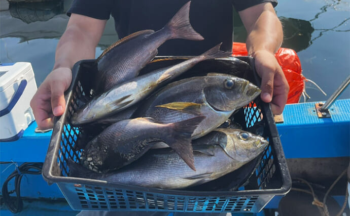 シーズン終盤のイサキSLJで本命15匹【山口・じらまる】ブレードより鉄板バイブにアタリ集中