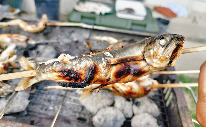 鮎を炭火で美味しく焼く5つのポイント 触りたくないけど最初は我慢