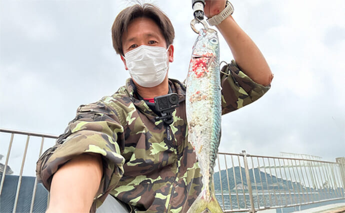 再解放された人気釣り場『敦賀新港』でのルアー釣りで大型サバにアジをキャッチ【福井】