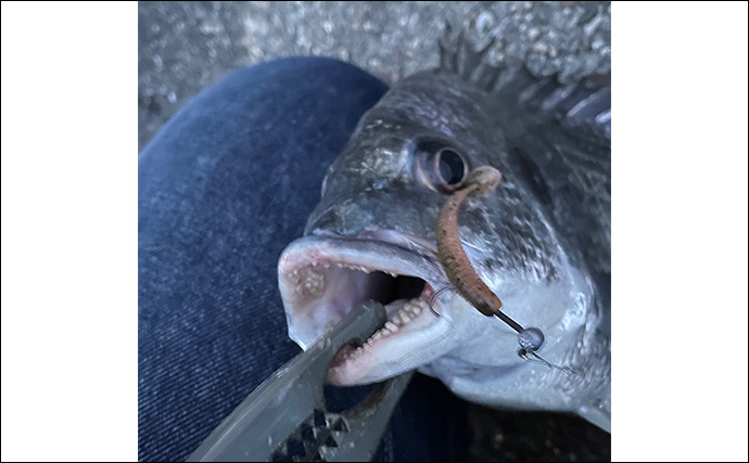 「逃した魚は大きい」は本当か？　魚との一期一会を大切に釣り切ろう