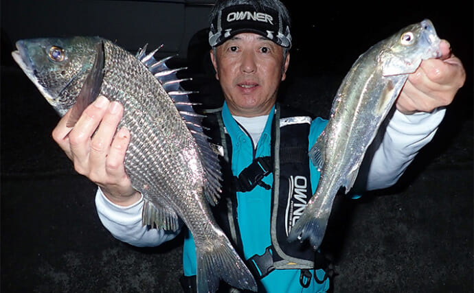 波止の夜釣りでセイゴが連発【熊本・三角港】アオ虫エサの電気ウキ釣りで手中