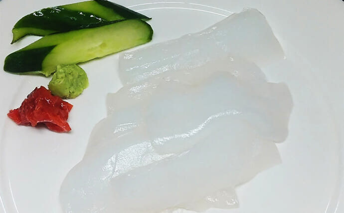 「固いイカの身を美味しく食べるには？」大型アオリイカの刺身は切り方が重要！