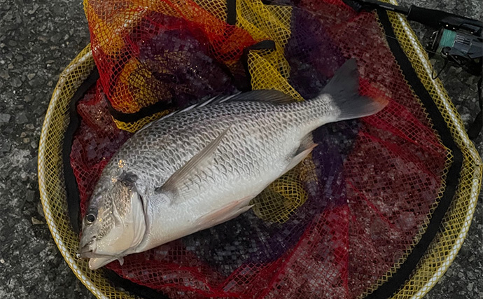 「逃した魚は大きい」は本当か？　魚との一期一会を大切に釣り切ろう