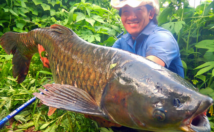 新河岸川で18kgソウギョを手中【埼玉】釣れる時間帯を狙い澄ましてヒット