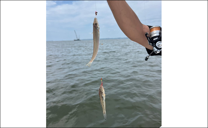 7月6日に『三河湾釣り大会スピンオフ』が開催！ キスを釣って総重量120kgのお米が当たる