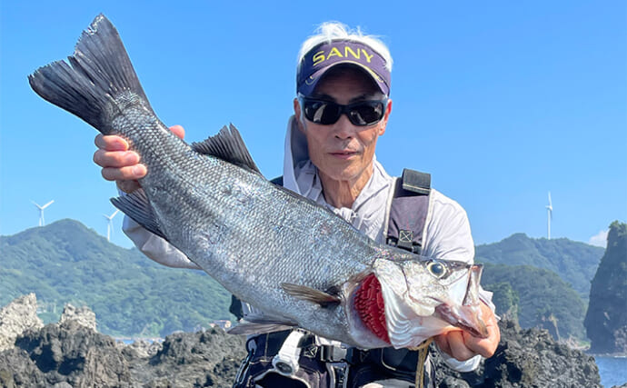 南伊豆沖磯のルアー釣りで70cmヒラスズキを手中【静岡】エサで良型ソイ＆カサゴもキャッチ