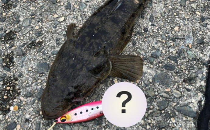 ルアーに付けるだけでマゴチが釣れやすくなる【ブレードカスタム術】とは？