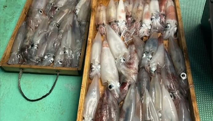 指6本級ドラゴンタチウオ登場！赤い宝石・アカムツ＆夜イカ好調【今週の全国厳選釣果】