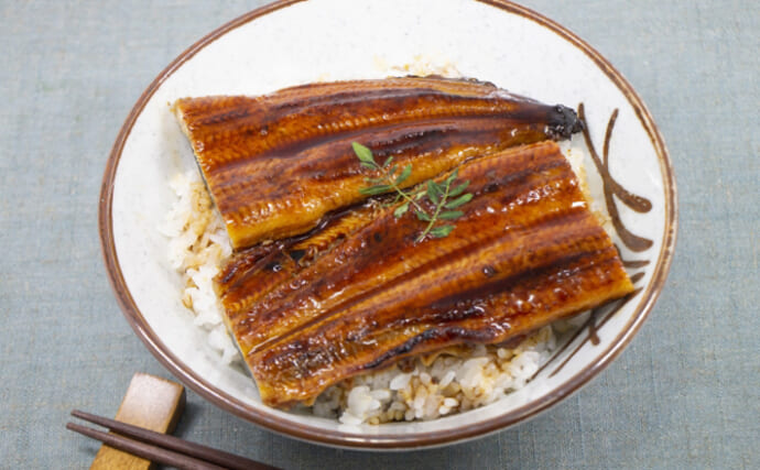 「今年もウナギの代用品を探そう！」国際取引規制の可能性でますます食べづらくなるかも？