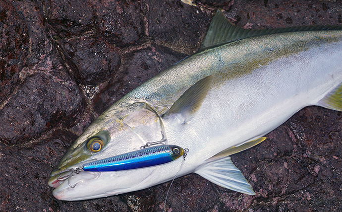 「爆飛びルアーで攻略！」トップで大型魚を狙う【ロックショアゲーム最前線】