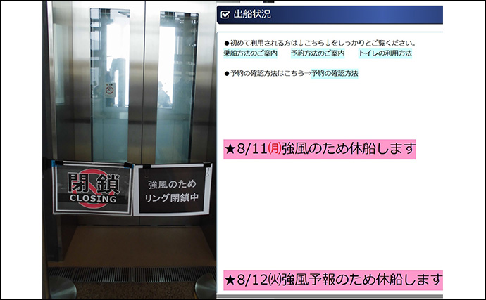 「釣り人なら万博を人一倍楽しめる？」釣りと大阪・関西万博は共通点がいっぱい