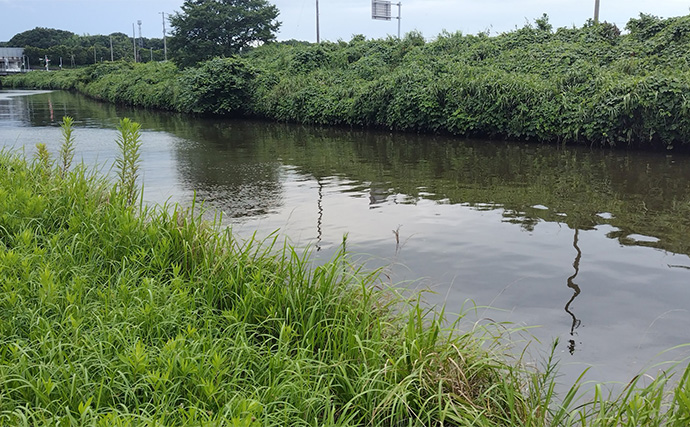 バイブレーションルアーで【狙ってボラを釣ろう！】 派手なカラーに好反応の傾向あり
