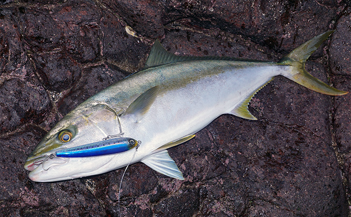 「爆飛びルアーで攻略！」トップで大型魚を狙う【ロックショアゲーム最前線】