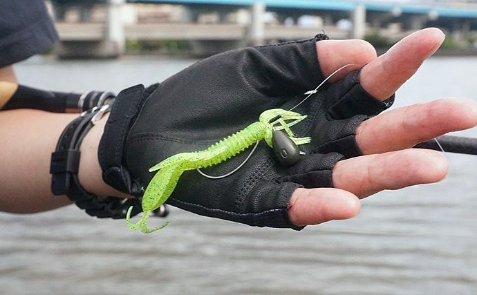 「都市河川のチニングに最適！」オリムピック『シルベラード』でキビレを攻略【福岡】