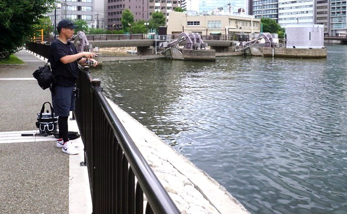 「都市河川のチニングに最適！」オリムピック『シルベラード』でキビレを攻略【福岡】