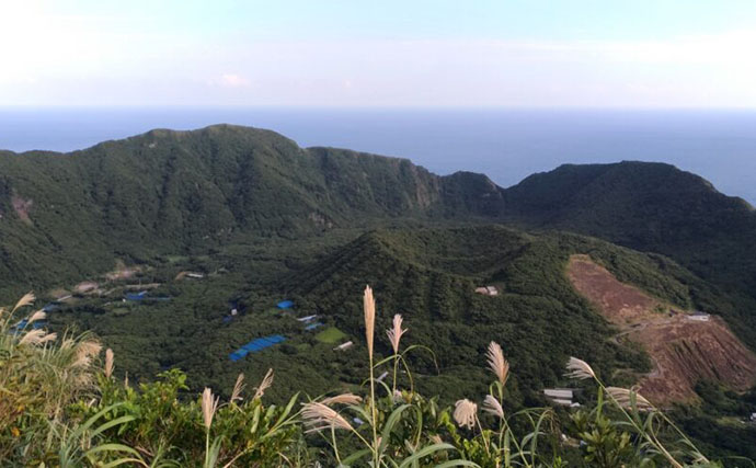 伊豆諸島で＜鳥類＞の多様性が低下していることが判明　捕食者の影響は海を越える？